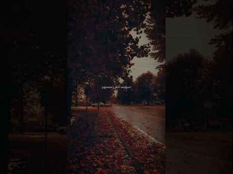 🎧cheb Boua feat Lydia - tasamhi fıya la la (Lyric Video) #lyricsシ