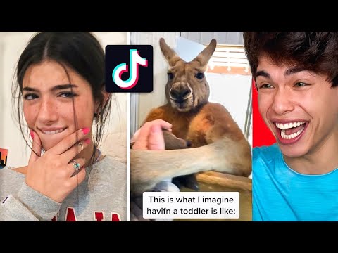 TIK TOKS that are actually FUNNY