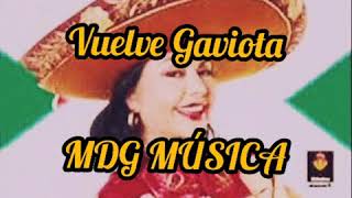 Vuelve Gaviota - Mercedes Castro [LETRA]