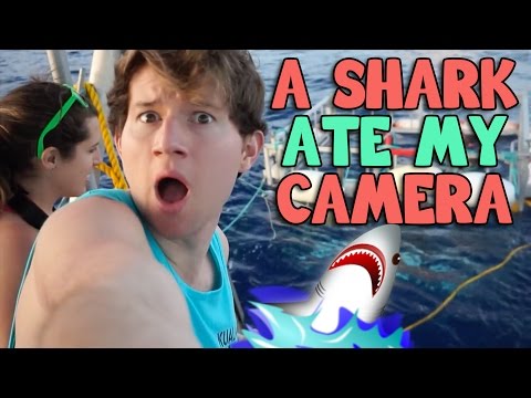 A SHARK ATE MY CAMERA IN HAWAII