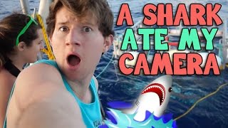 A SHARK ATE MY CAMERA IN HAWAII