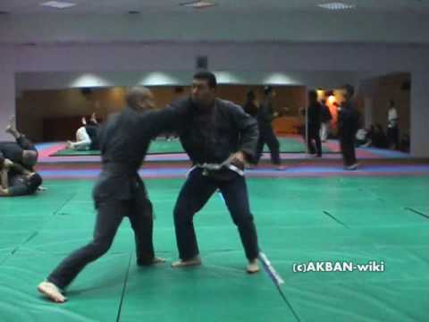 Hida no kata - koto ryu