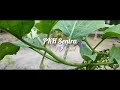VIDEO DOKUMENTER PROGRAM PKH 2020 KOMPILASI GRADUASI MANDIRI