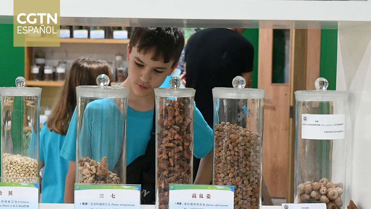 La medicina tradicional china gana popularidad entre los turistas extranjeros
