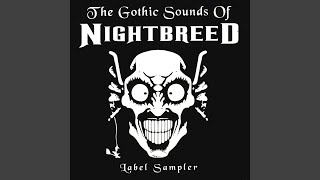 Sinister Sinister: Darkwave Mix