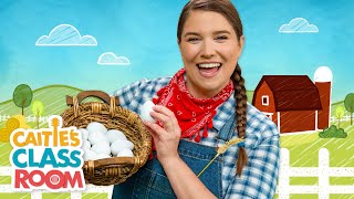 The Farmer In The Dell | Songs from Caitie&#39;s Classroom