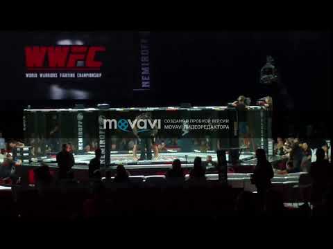 Новый проект 87