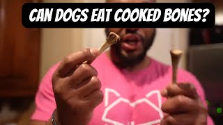 Can you feed your Dog cooked Bones???