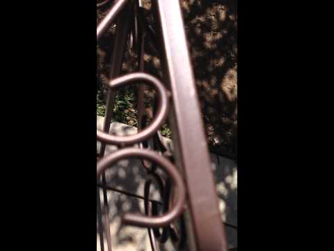 Tinder Hot Box Solar Fire Starter