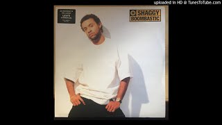 Shaggy - 11. Day Oh