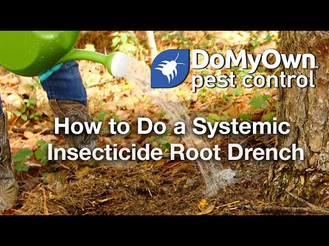  How to Do a Systemic Insecticide Root Drench Video 