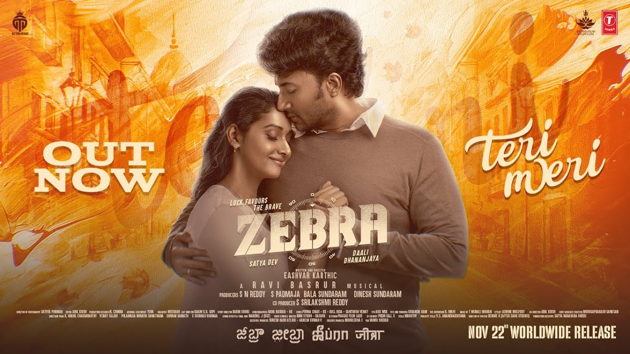 Teri Meri Song Lyrics | Zebra | Aira Udupi, Santhosh Venky
