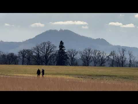 VfL Iggingen - TV Weiler i.d.B. 2:1, 23.02.2025