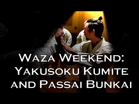 Teaser - Waza Weekend: Yakusoku Kumite and Passai Bunkai