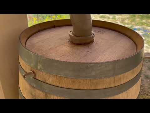 Mini-entreprise Acqua'Cara collège du Taravu, site de Pitretu - FDME 2023