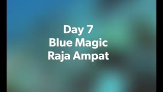 Day 7, Blue Magic, Raja Ampat