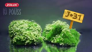 ZOLUX Dekorácia do akvária TOTEM 1 so živými semienkami machu 5,2 x 4,6 x 13,1cm