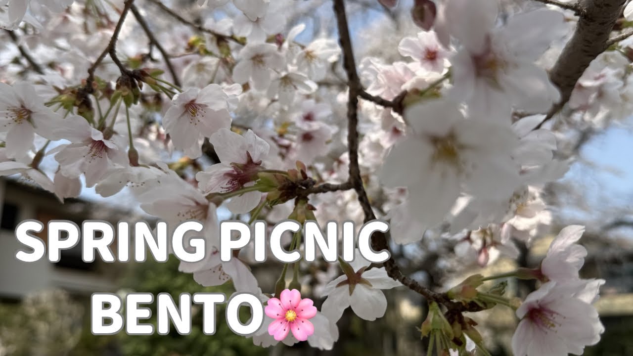 Spring Hanami Bento 🌸 | Karaage,&Onigiri Picnic in Japan