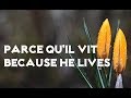 Parce qu’Il vit