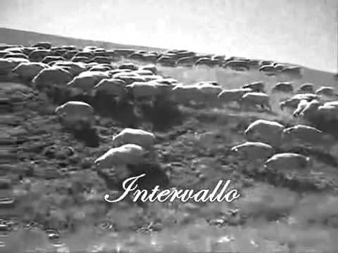 Intervallo Rai originale per sola arpa