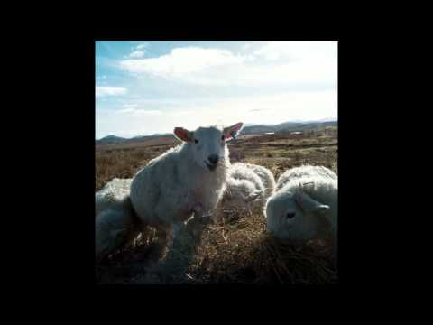 Driving down to Tarbert