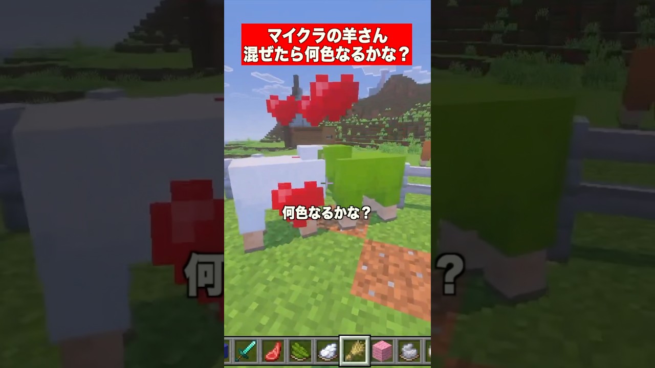 マイクラの羊で混ぜたら何色なるかな？黄緑編 #マイクラ #マインクラフト  #minecraft