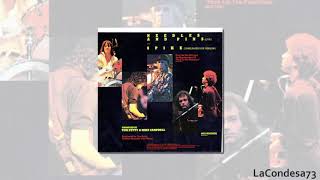 Needles and Pins - Tom Petty &amp; Stevie Nicks  ( 1985 )