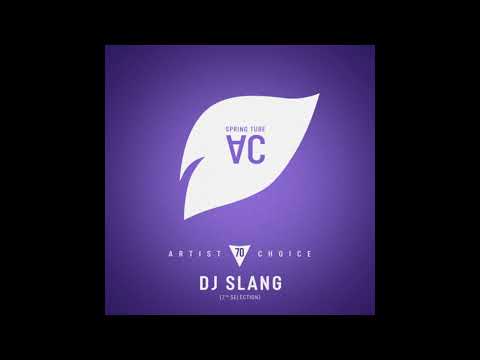 SlanG  - Artist Choice 070 [7th Selection] (Continuous DJ Mix)