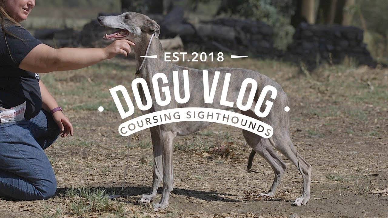 YouTube video preview