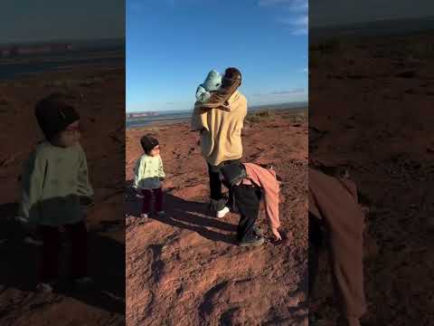 Dinosaurios en Villa El Chacón-Neuquen-Argentina, suscribite para ver mas de la Patagonia Argentina