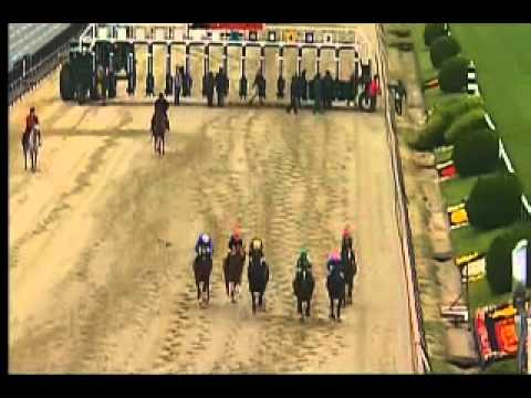 Pimlico 05/21/15 race 5