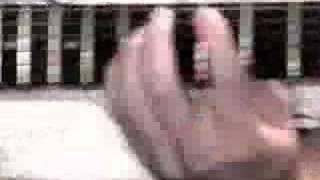 Hastatus Practice Day