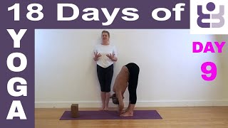 18 Days of Yoga - DAY 9. Iyengar Yoga Tutorial