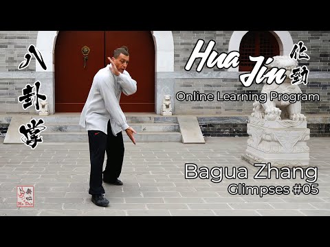 Hua Jin Online Learning Program - Bagua Zhang Glimpses #05
