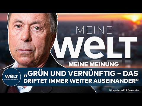 MEINE MEINUNG: Polen baut erstes Atomkraftwerk! Kritik an deutschen Sonderweg in der Energiepolitik