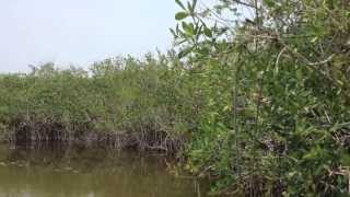 preview picture of video '100-acre Santa Rosa Corozal Belize'