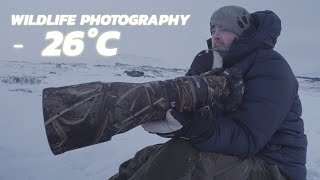 Extreme Cold Wildlife Photography: 3 days Winter Expedition 📸❄️