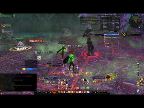 Lotro Woe of the Willow T5 | Warden