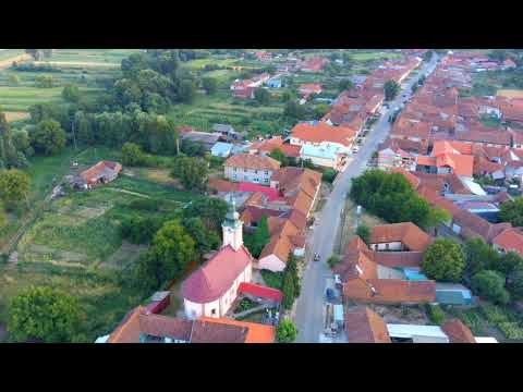 Patas , Caras - Severin !