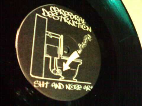 S.A.N.A. 006 (Cerebral Destruction 2002)Hotrebor & Syrob)))B2(((pollute