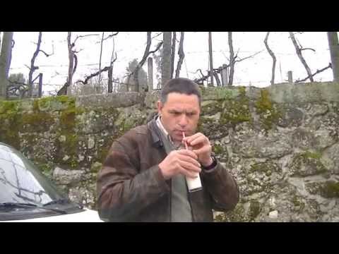 SUPER MACHO - Vida de um macho (San Studios 2015)