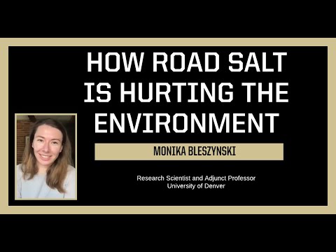 Harmful Impacts of Road Salt and Possible Alternatives