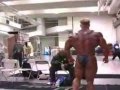 best of bodybuilding compilation