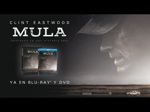 Trailer en español de Mula