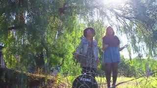 "Bird & Bee" covers Duluth by Mason Jennings