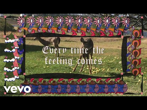 Nap Eyes - Every Time the Feeling (Official Video)