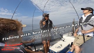 SeafariJapan合同会社