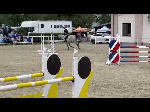 Caldwell (Grandorado x F-One USA) 2025/07/11 ZO Jeżów - 120 cm