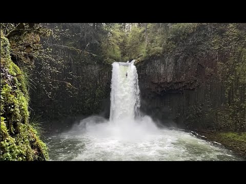 REEL WORLD Vol.7 - #27 Axel Hovorka (USA)