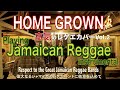 Jamaican Reggae Classics Medley (cover), Mambo TAXI (Sly & Robbie cover) HomeGrown